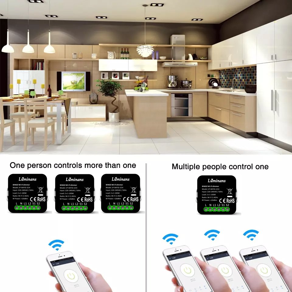 1 Gang Triac Dimmer Module with 0-10V TUYA APP Wireless WIFI Smart LED Light Wall Switch Remote Control Switch