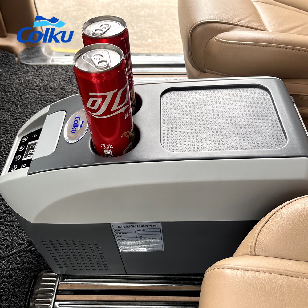 Portable 30W Auto Electronics Mini Car Fridge 12v 24v DC Compressor Camping Refrigerator 20L Plastic Freezer Cooling Function