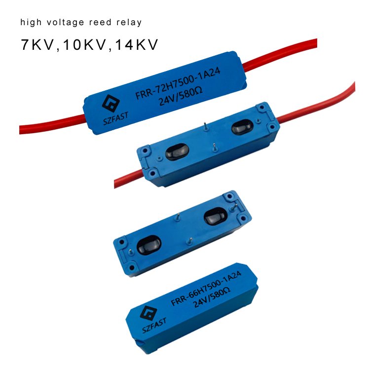 High Voltage 5KV 7.5KV 10KV 12KV Reed Relay for Auto Control System Industrial Relays Product
