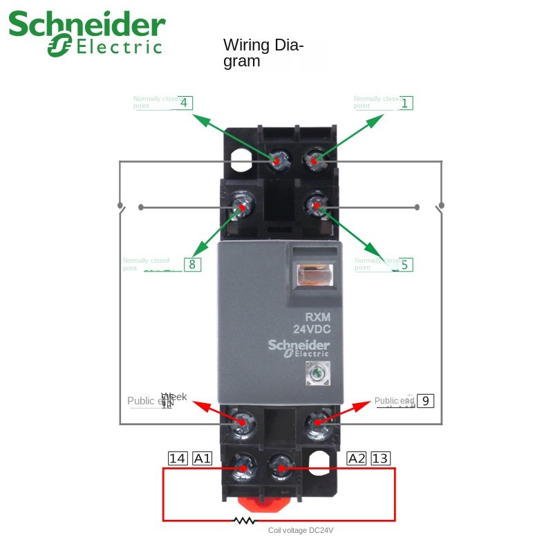 Schneider 24V DC RXM2LB2BD Plug-in Intermediate Relay 2 Group 8 Pin Seat Small Thermal Relay Auto Protective New Condition