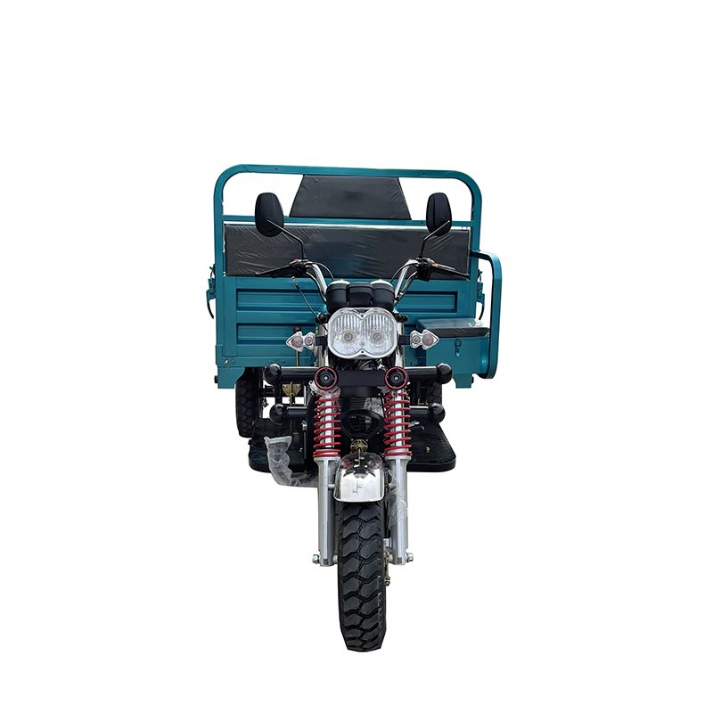 2021 New Model Tricycle Popular Adults Motorcycle100cc/200ccmotorcycle Meters Lighting System Motorized Tricycles
