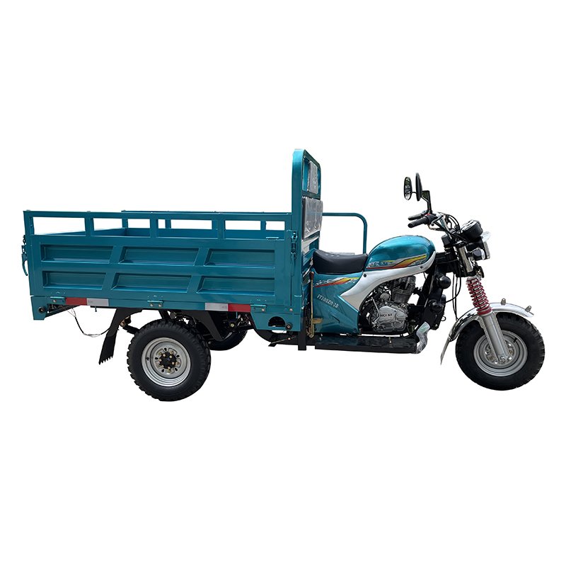 2021 New Model Tricycle Popular Adults Motorcycle100cc/200ccmotorcycle Meters Lighting System Motorized Tricycles