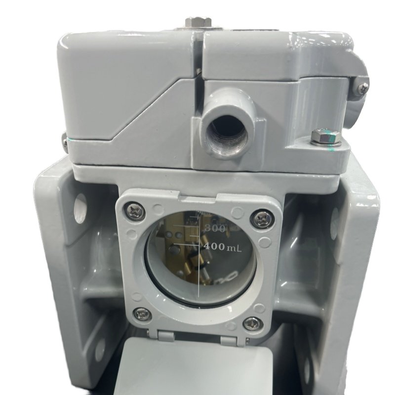 TEBA Transformer Transformer Buchholz Relay Br-25 Oil-immersed Distribution Transformer