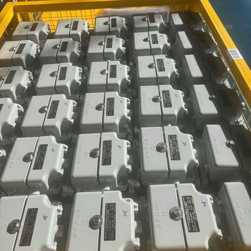 TEBA Transformer Transformer Buchholz Relay Br-25 Oil-immersed Distribution Transformer