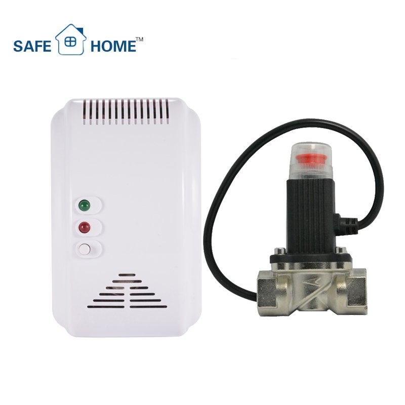 Factory Offer 220V Wall Mounted Gas Leakage Detection Devices Gas Leak Detector with Relay Output Sound & Flash Alarm