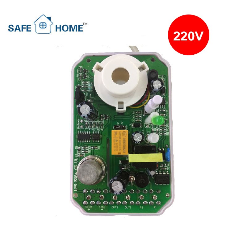 Factory Offer 220V Wall Mounted Gas Leakage Detection Devices Gas Leak Detector with Relay Output Sound & Flash Alarm