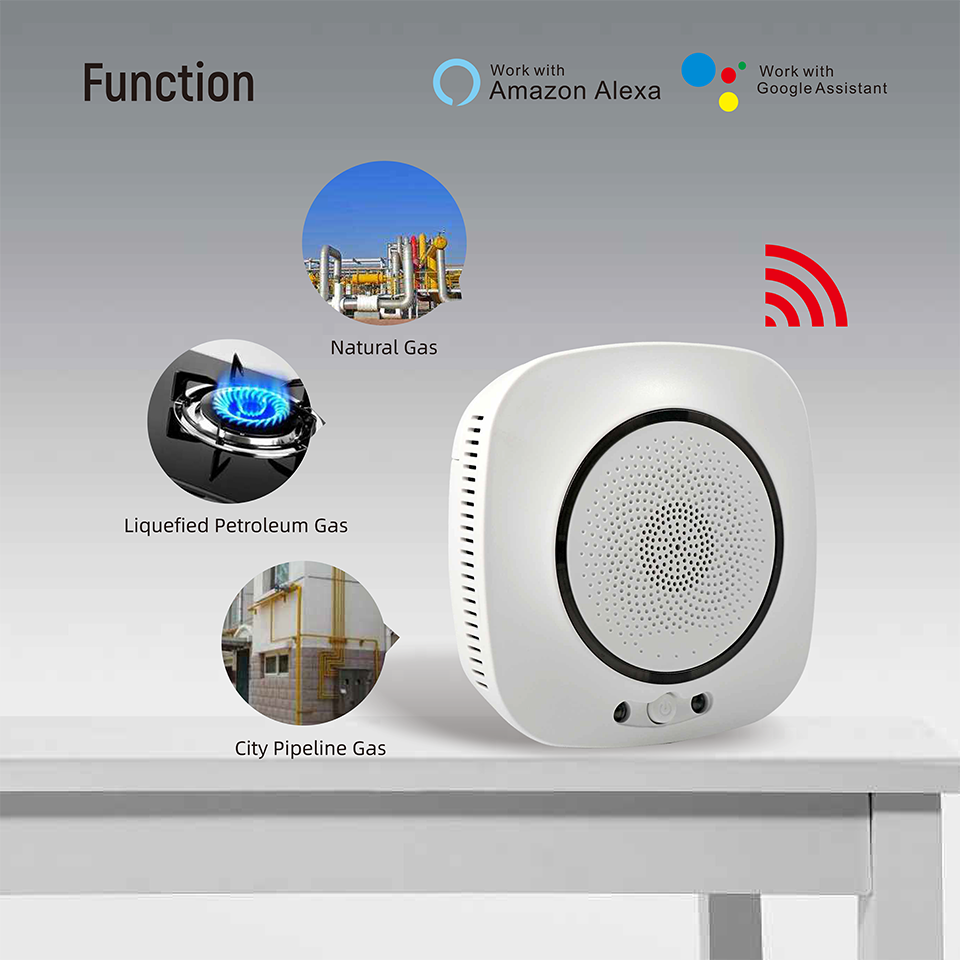 Tuya APP Smart Home Auto WiFi Multi Gas Detector Price, Wireless Kitchen LPG Natural Gas Leak Detector Work with Solenoid Valve