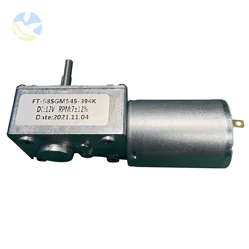 FT-58SGM545 12V 5RPM High Torque DC Worm Gear Motor for Auto Cat Toilet