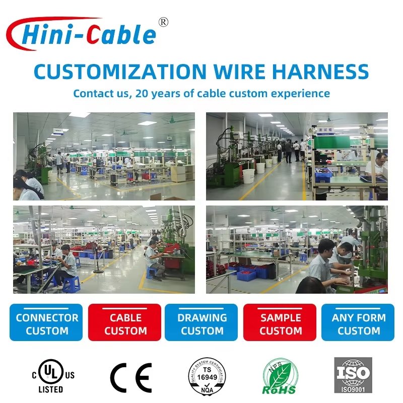 2024 Bulk Customized Miniature 12V 40A 5Pin Protective Wire Harness for Automotive Electromagnetic RelayQuality Product