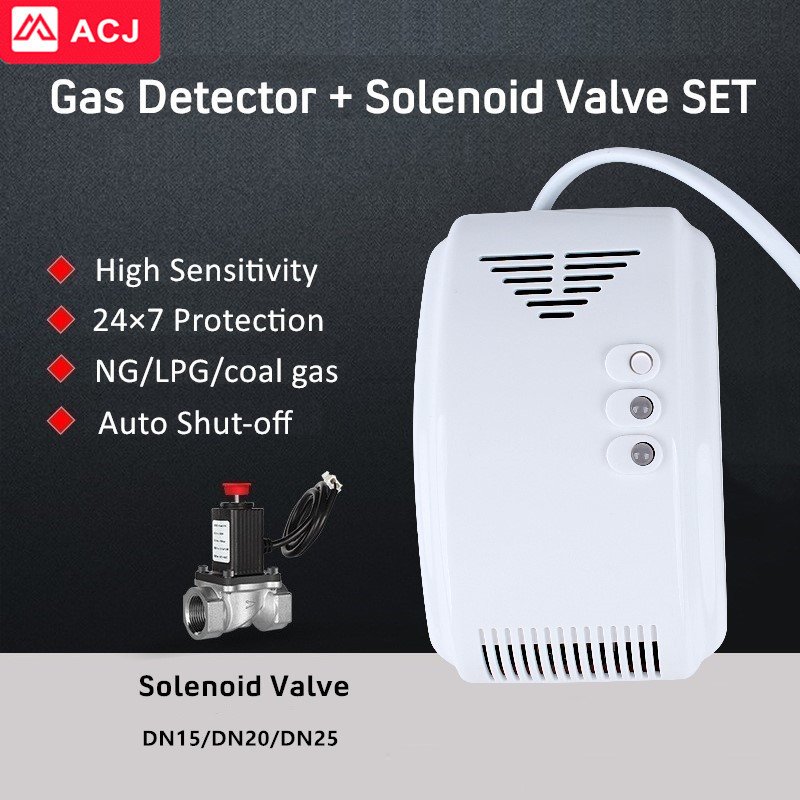 Best Selling Kitchen Detector Gas Leak Control Solenoid Valve LPG Safety Valve a Kit Gas Alarm System