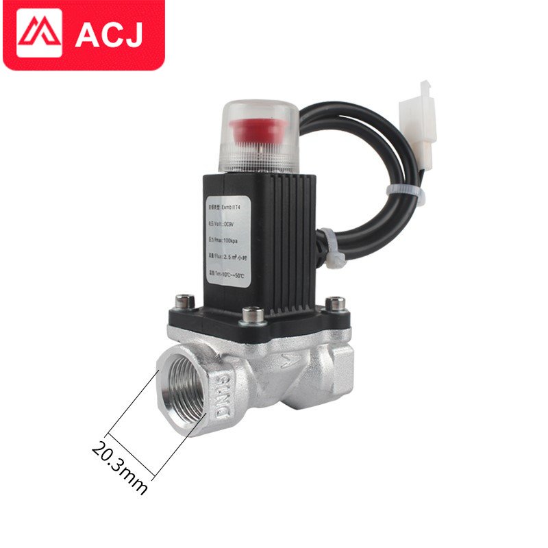 Best Selling Kitchen Detector Gas Leak Control Solenoid Valve LPG Safety Valve a Kit Gas Alarm System