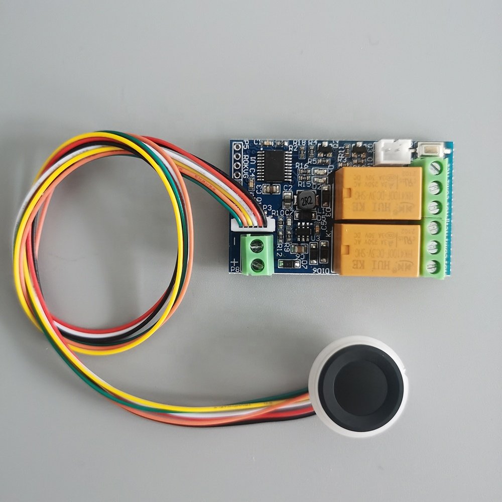Taidacent 2 CH Car Door Switch Relay Board Biometric Fingerprint Reader Access Control 12vdc Control Relay Car Ignition Switch