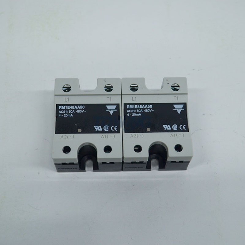 New and Original Switzerland Carlo gavazzi RM1E48AA50 Solid State Relay
