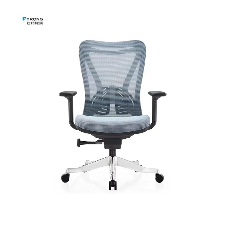 Factory Direct Sale Adjustable Lumbar Support Ergonomic Swivel Office Mesh Chair