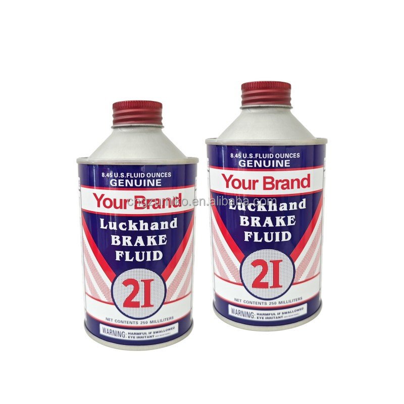 250g 250ml Synthetic Brake Lubricant Car Brake Fluid Dot4 Dot3 Motorcycle Brake Motor Oil