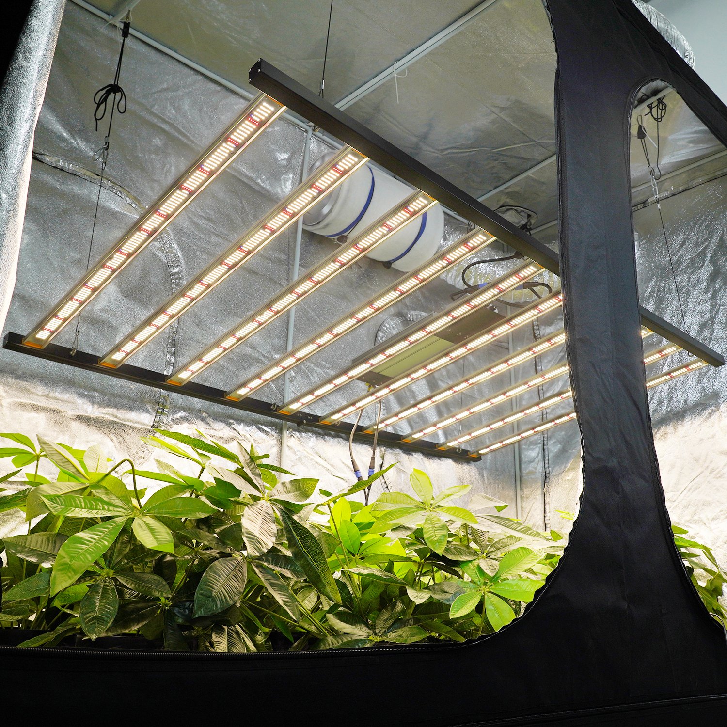 Meijiu Commercial 1000W Foldable Full Spectrum LED Indoor Plant Grow Light 1000W UV IR Samsung Chip Aluminum IP65 for Blooming