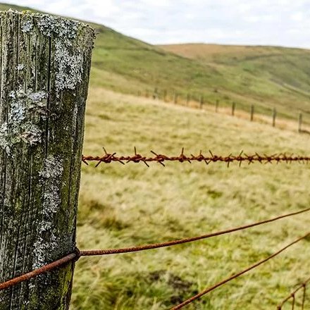 200m Barbed Wire for Fence Price Meter Barb Post 50kg 12.5 4pt Fences Rolled Fencing 500 Meters Barbed Wire