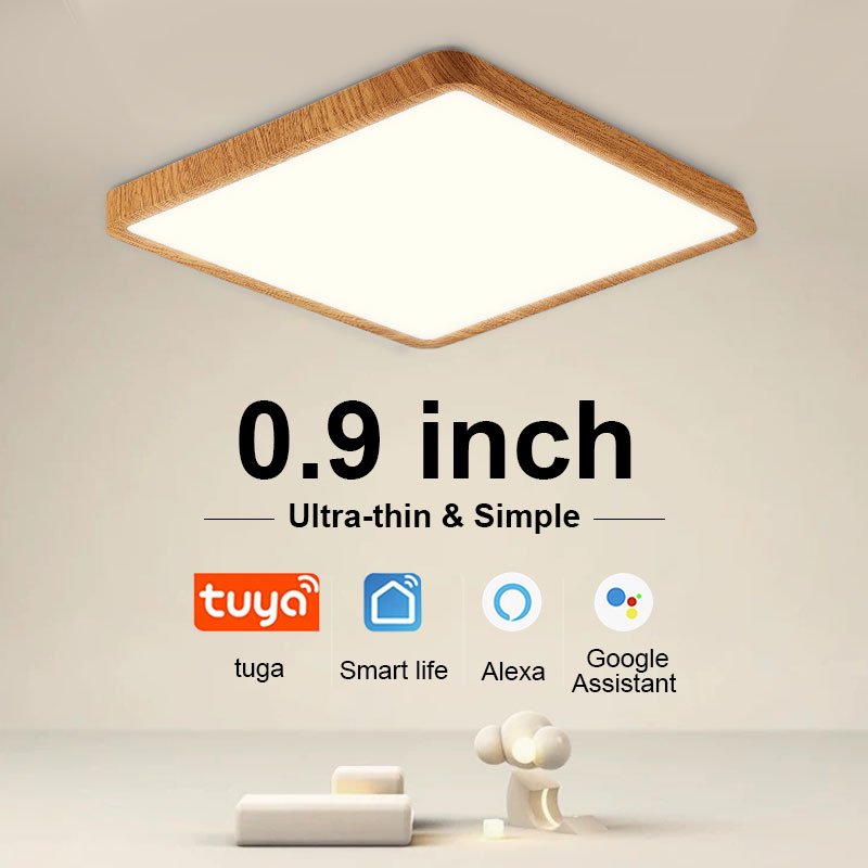 Indoor LED Ceiling Light 36w24wTuya Smart Remote/App Voice Control Alexa/Google Control Large Minimalist New Style Living Room