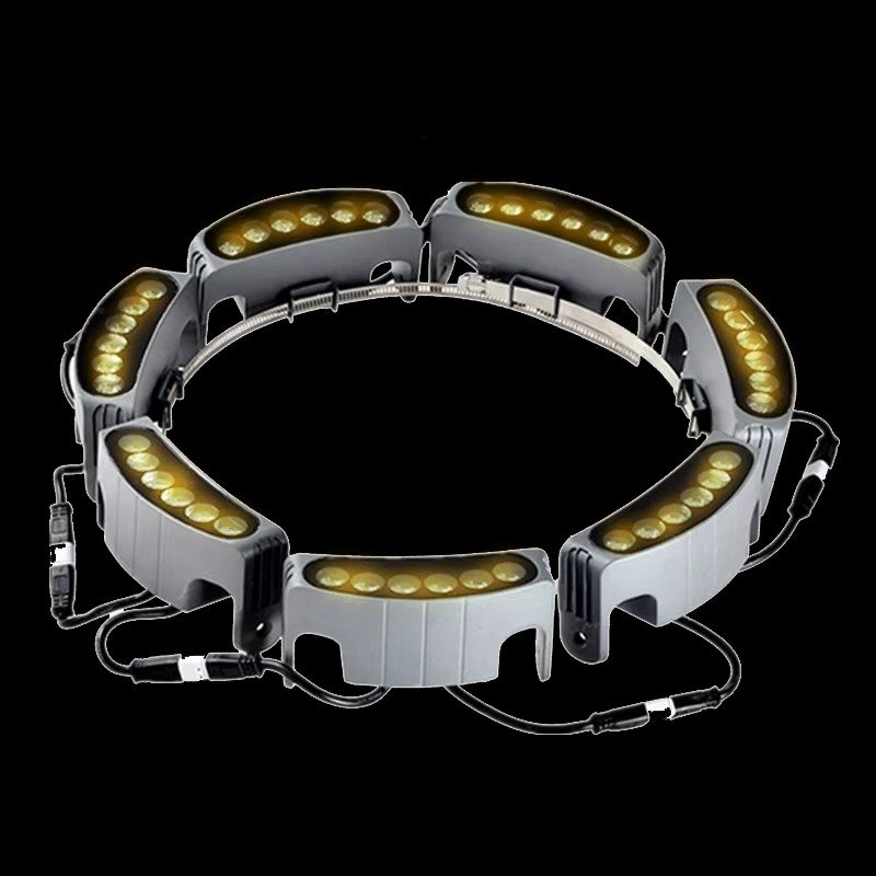 Outdoor Waterproof Landscape LED Tree Lighting Garden LED Ring Embracing Palm Tree Spotlight DC24V Bridge Column Hoop Light