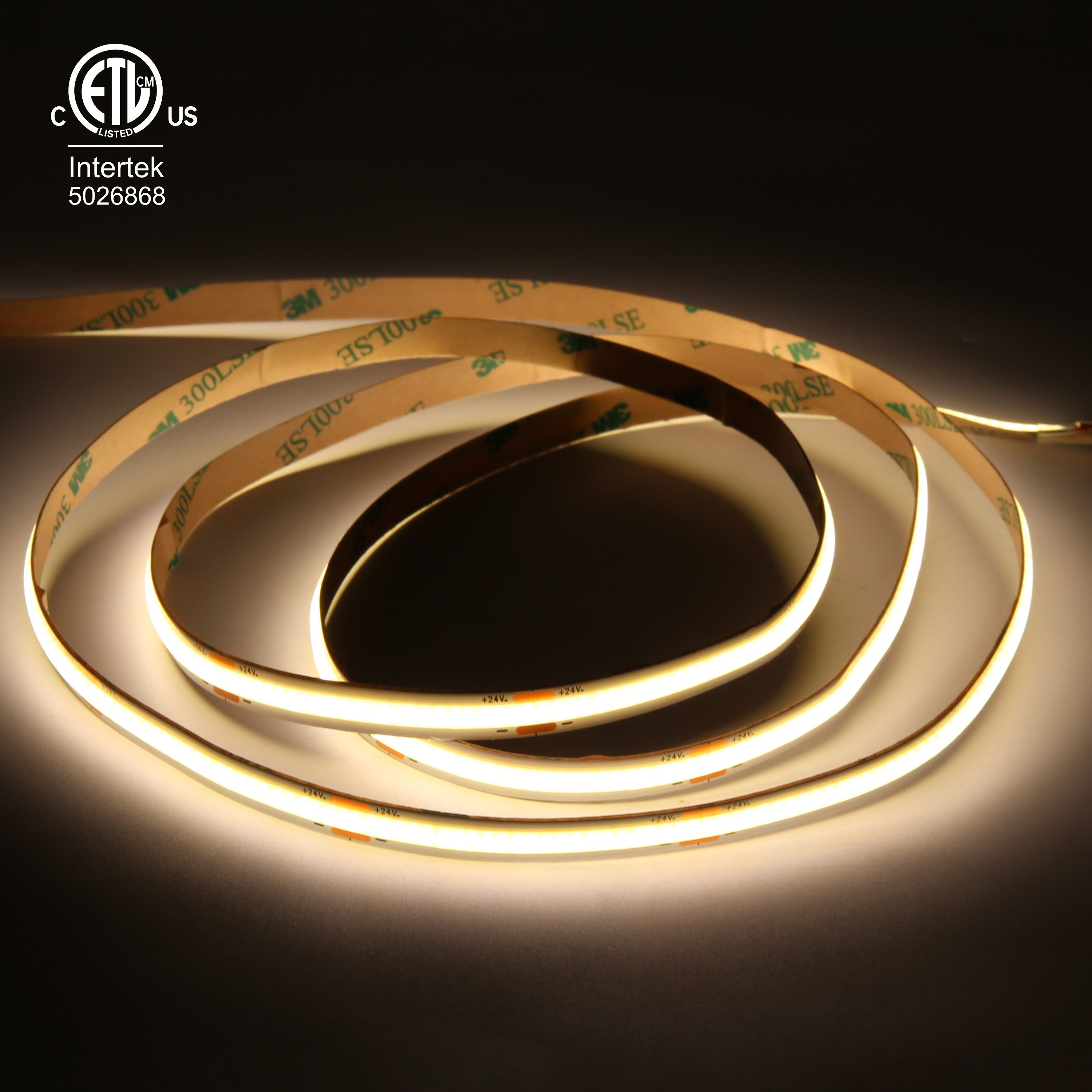 Raymates4 000k Day Light Fcob Led Cri 90 Led Cob Strip 480leds Flexible Cob Tape Strip for Ceiling Stairs