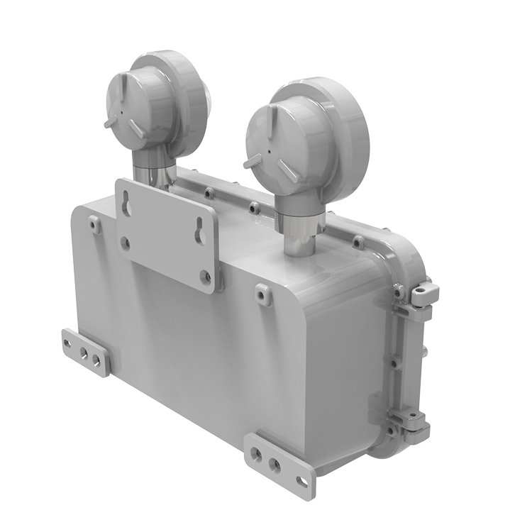Factory Price Wall Mounted Explosion Proof Double Twin Head Light Emergency Luminaire IECEx ATEX Listed