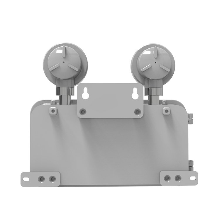 Factory Price Wall Mounted Explosion Proof Double Twin Head Light Emergency Luminaire IECEx ATEX Listed