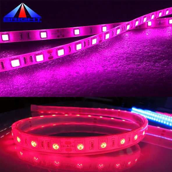 Waterproof Yellow Amber 60leds/m SMD5050 Flexible Led Strip 14.4W/meter Warm White RGB RGBW Led Lighting Strip Tape