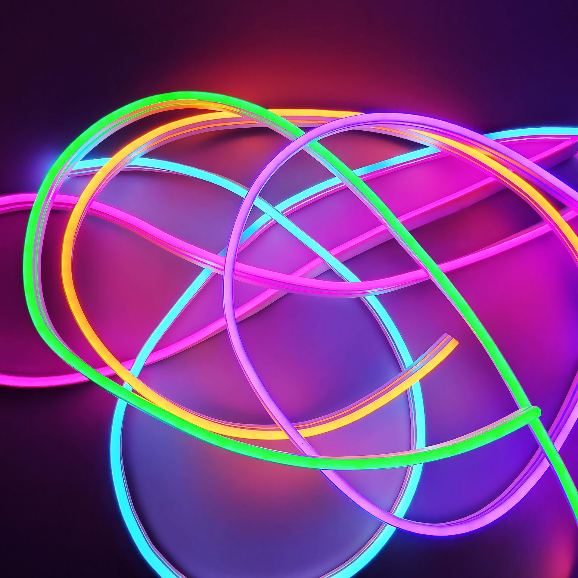 6*12mm 8*16mm Led Neon Flex Silicone Pvc 12v 24v Soft Rope IP67 for Neon Sign Outdoor Custom 5M 50M 100M Led Neon Lights