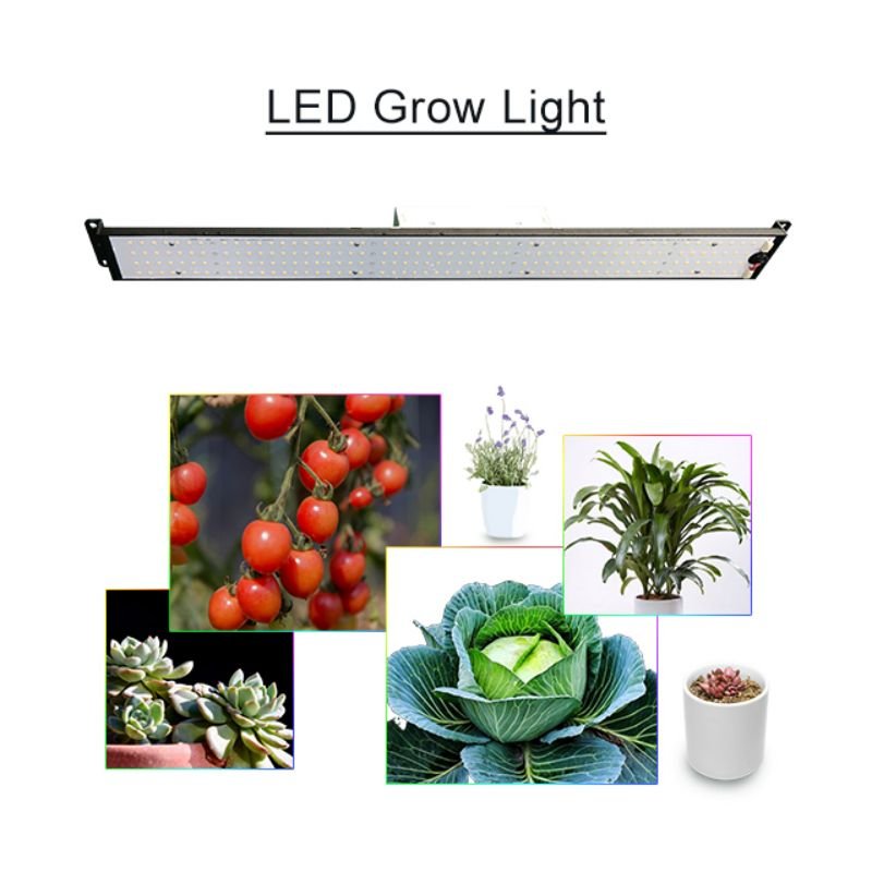 Full Spectrum Growing Light LM301B/H Red 660nm IR 730nm UV 385nm LED Plant Grow Light 100W Grow Board Light Kit for Indoor Plant