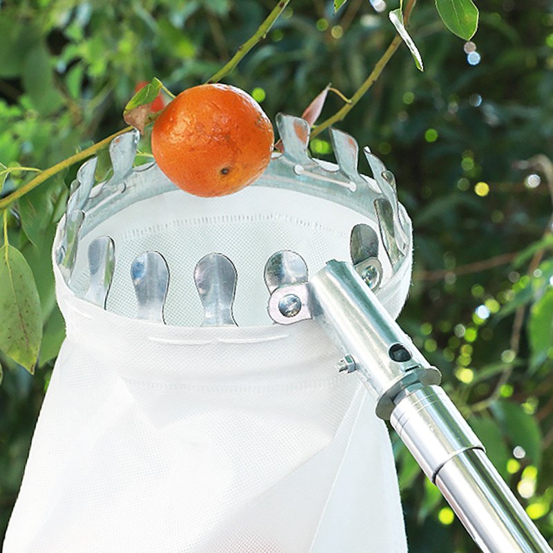 Fruit Picker Metal Basket With Stainless Steel Pole Stick Fruit Picker Telescopic Fruit Picker Tool