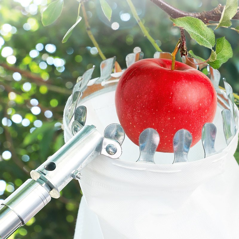 Fruit Picker Metal Basket With Stainless Steel Pole Stick Fruit Picker Telescopic Fruit Picker Tool