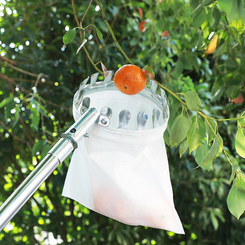 Fruit Picker Metal Basket With Stainless Steel Pole Stick Fruit Picker Telescopic Fruit Picker Tool