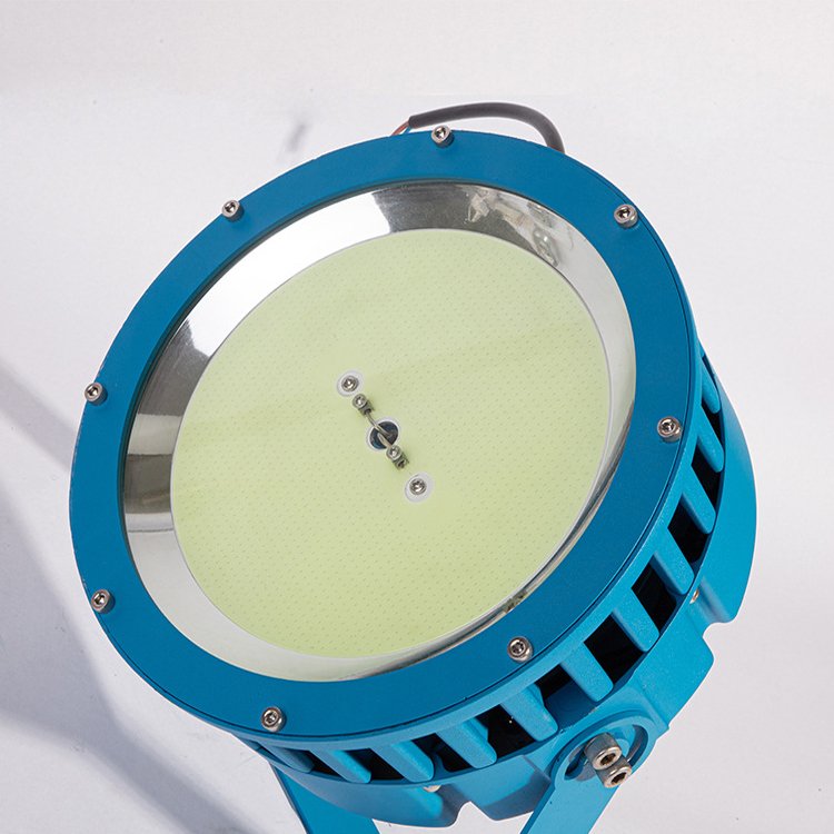 13000K Full Spectrum Cyan 1000W 500W 4000 Watt Jelly Fish Lamp Deck Green Lure Trap Led Marine Flood Light for Sea Fishing