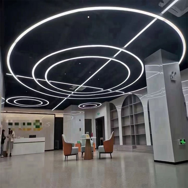 Indoor Decorative Round Lighting Black Dimmable Circular Led Hanging Lamp 800mm Ring Linear Light