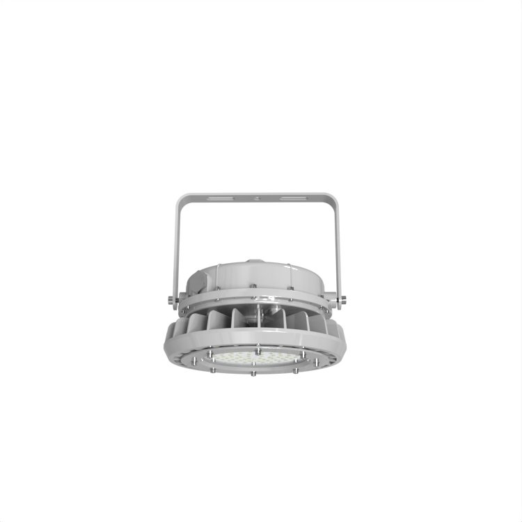 ATEX Zone2 IECEx Certified 60W 80W IP66 Round Shape Explosion Proof Light for Explosive Atmosphere Areas