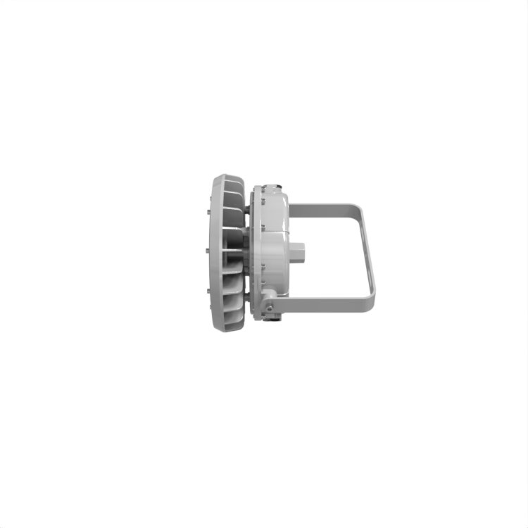 ATEX Zone2 IECEx Certified 60W 80W IP66 Round Shape Explosion Proof Light for Explosive Atmosphere Areas