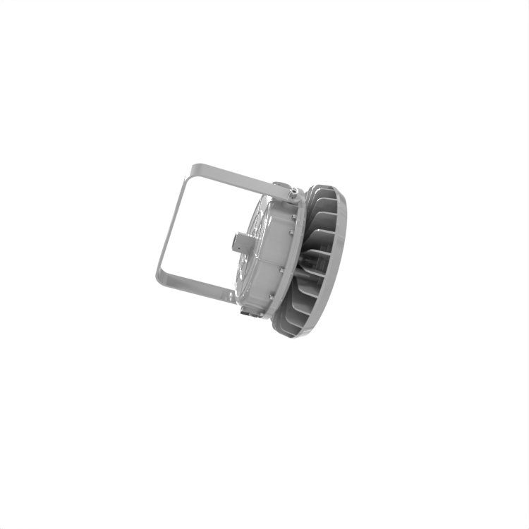 ATEX Zone2 IECEx Certified 60W 80W IP66 Round Shape Explosion Proof Light for Explosive Atmosphere Areas