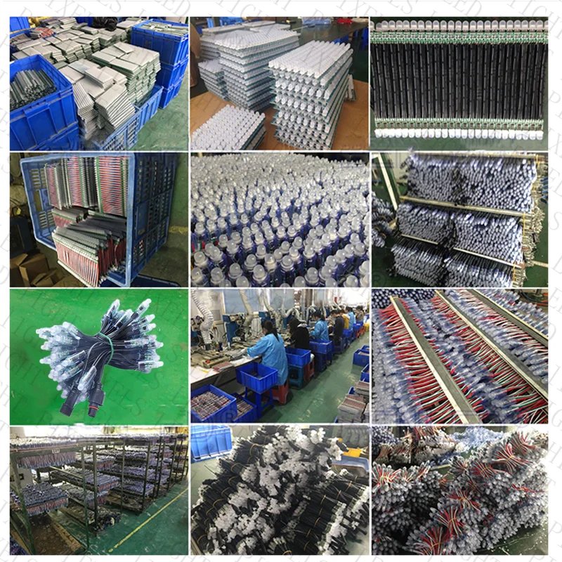 China Wholesale LED Pixel Light 12mm WS2811 IC Full Color IP67 LED Pixel String Light Factory Direct Sale Led Pixel String Light
