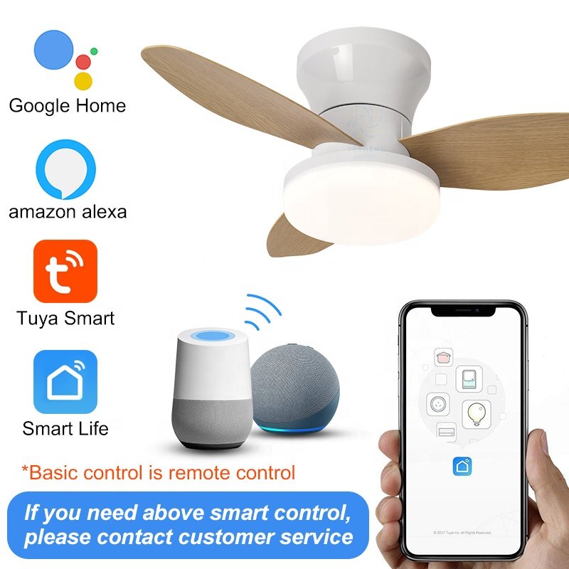 C161 65/88cm High air Volume Ceiling Fan with Light with APP CONTROL