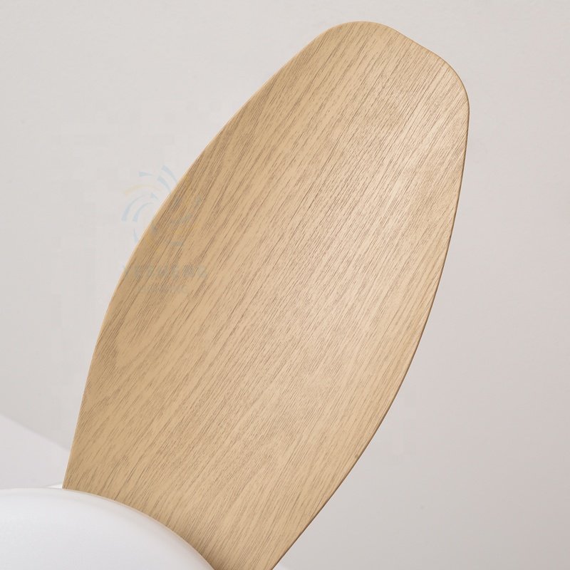 C161 65/88cm High air Volume Ceiling Fan with Light with APP CONTROL