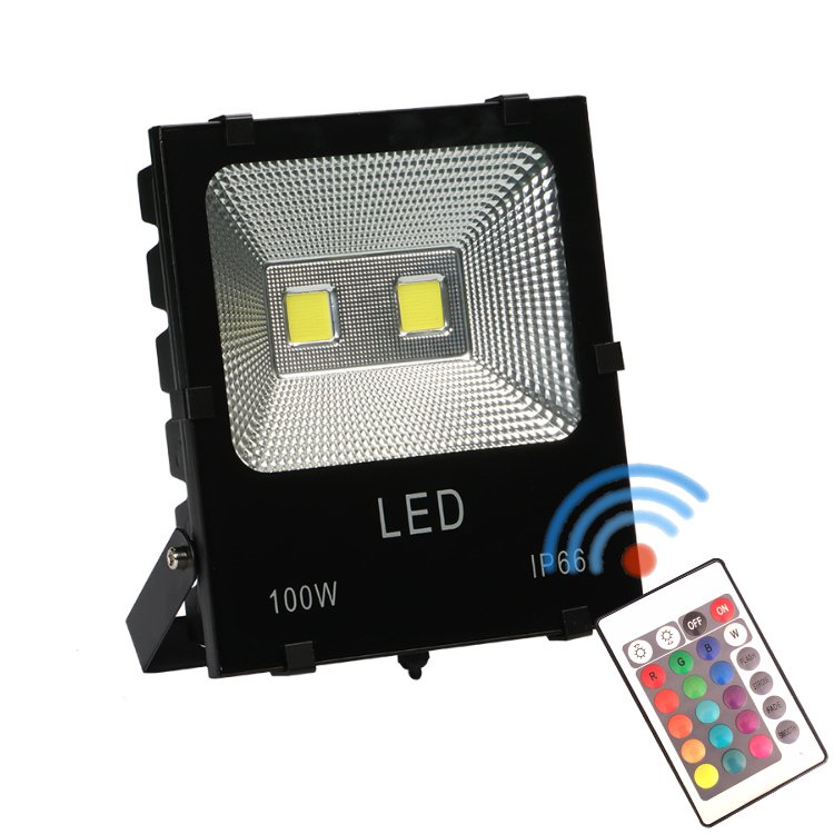 Led Cob 50W 100W 200W 15 Watt 12V 24V Dc 10W Ip65 Waterproof Garden Landscape Light Outdoor Rgbw Rgb Flood Lights With Control
