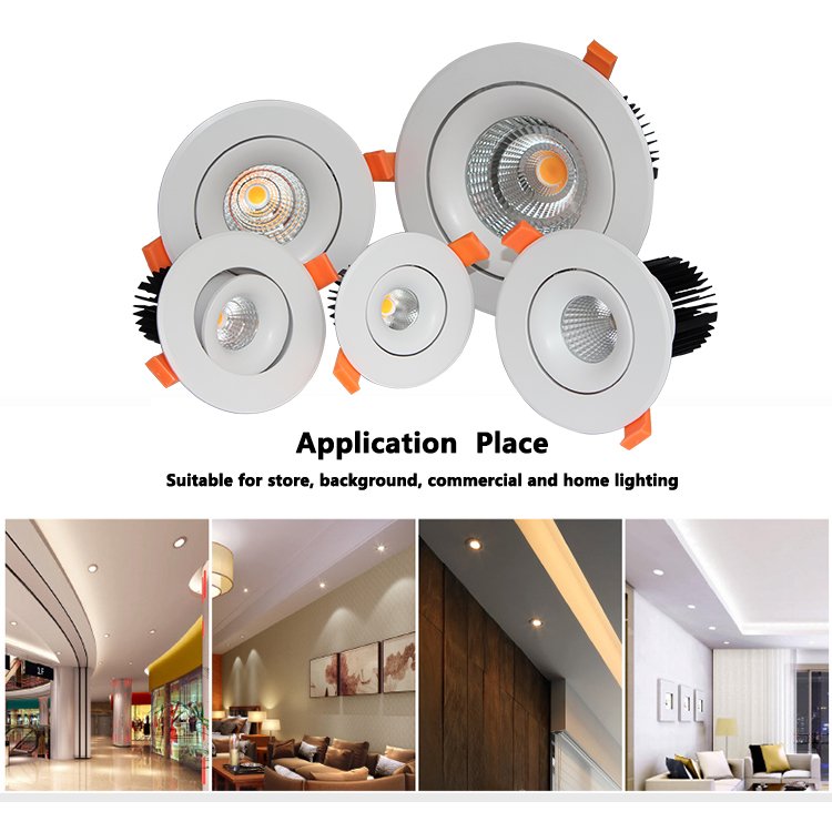 Dimmable Led Down Light Cob Spot Light 20W 30W 40W 50W Led Ceiling Lamp Ac85-265V Household Commercial Indoor Lighting