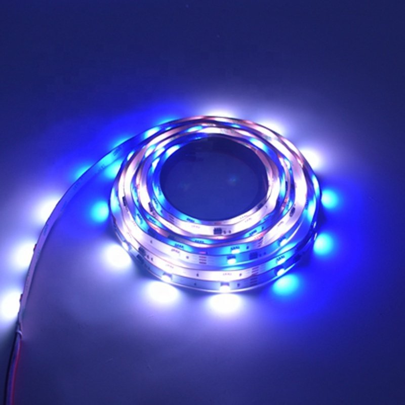 Shenzhen LED Lighting RGB Addressable SMD5050 Smart Strip Lights RGB Digital LED Strips