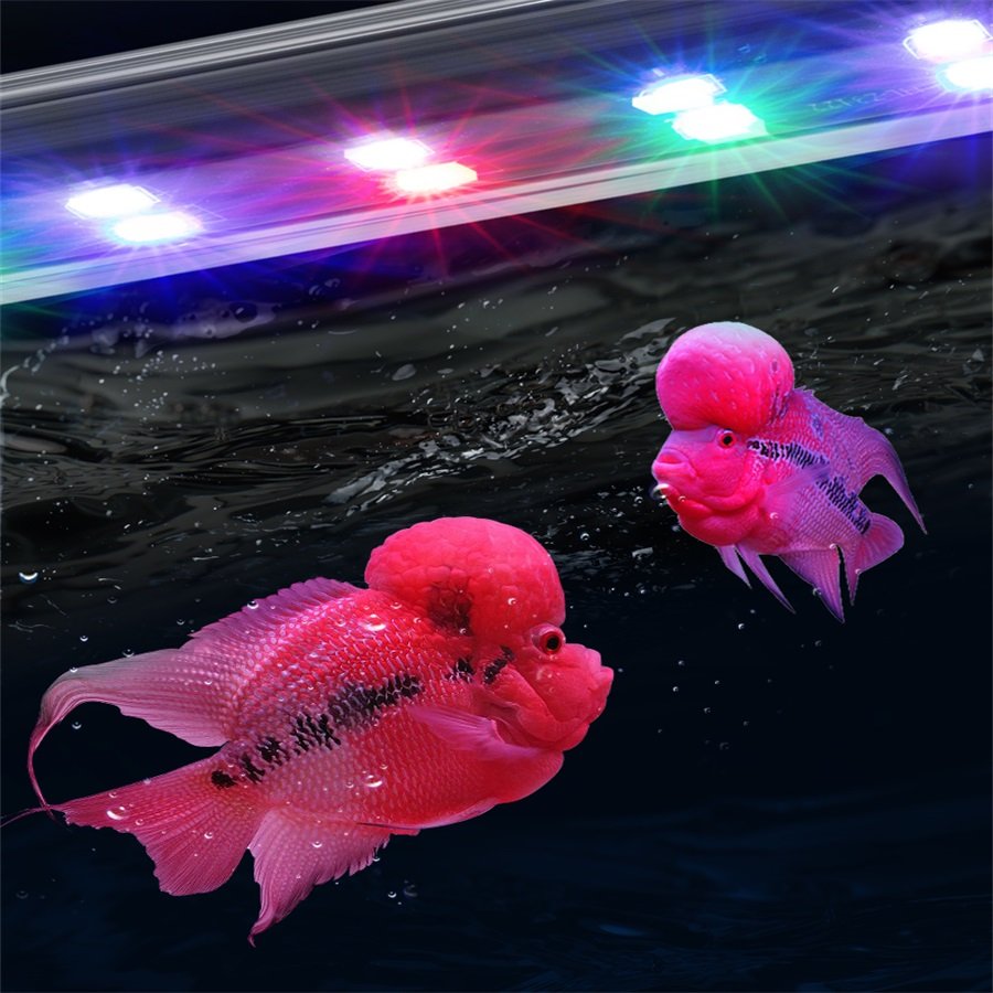 Zaohetian T8 Switching Color Change Full Spectrum Submersible Aquarium Light China Cheaper Viewing Lamp Led Aquarium Lamp