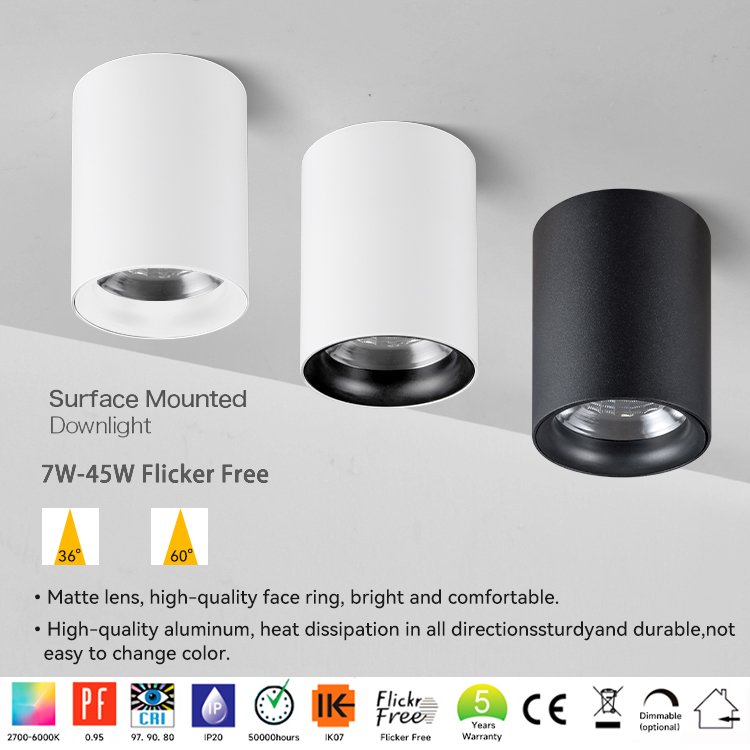 7w 10w 12w 15w 20w 25w 30w 35w 40w 45w Cob Surface Mounted Pendant Led Downlight Modern Pendant Down Lighting