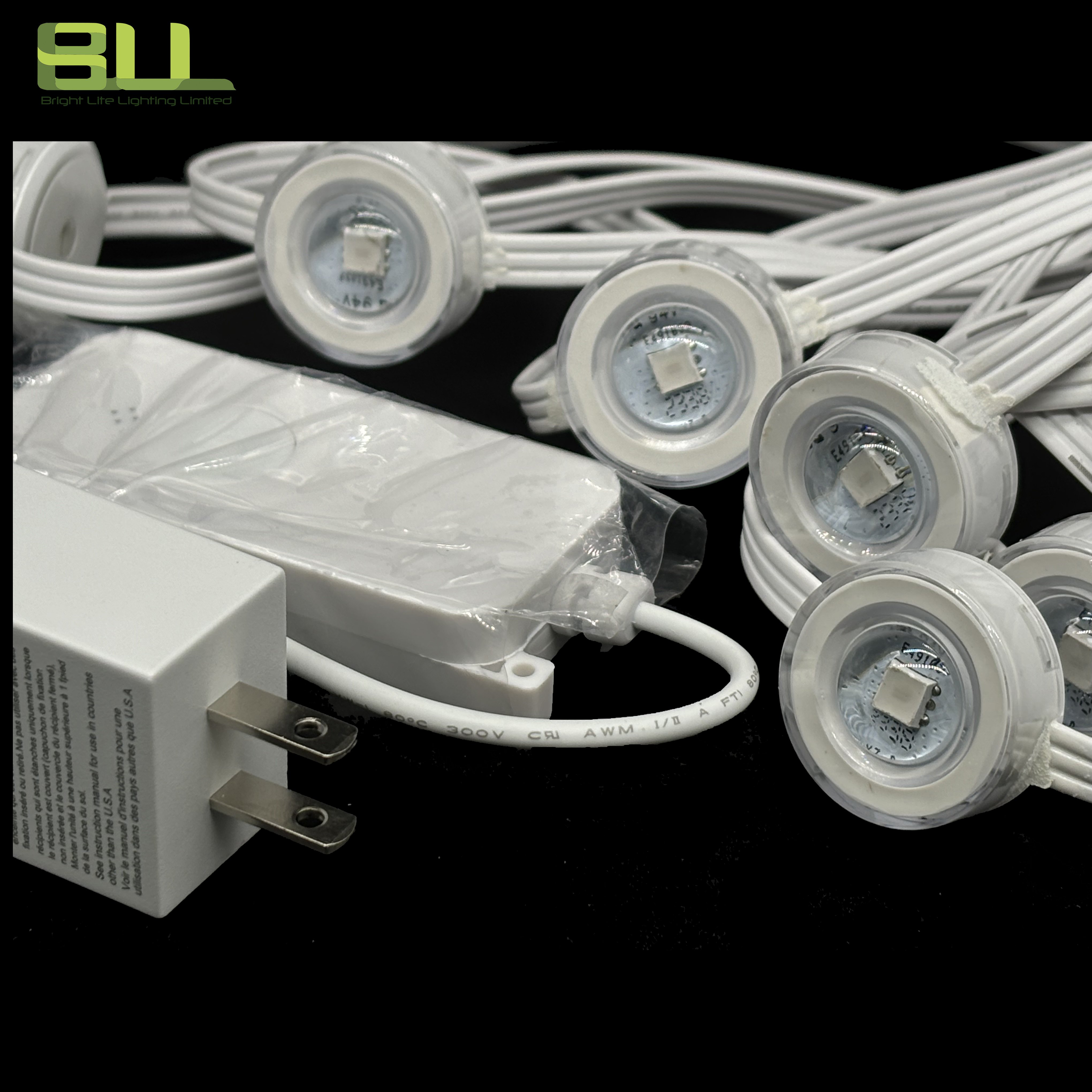 EAVES LIGHT IP65 RGB Permanent Outdoor Light with Plug-in Power Supply for Outdoor Indoor Decorative Lights