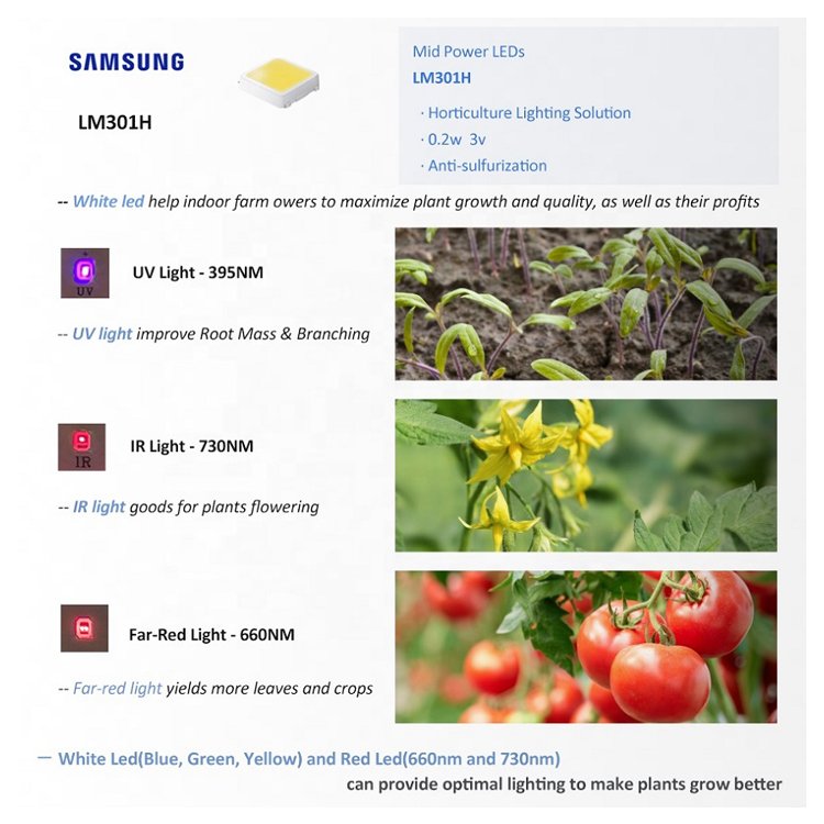 Full Spectrum Uv Ir Samsung Plant Grow Light Led 1000W 1200W 1500W Fullspectrum 12 Bar Led Grow Lights