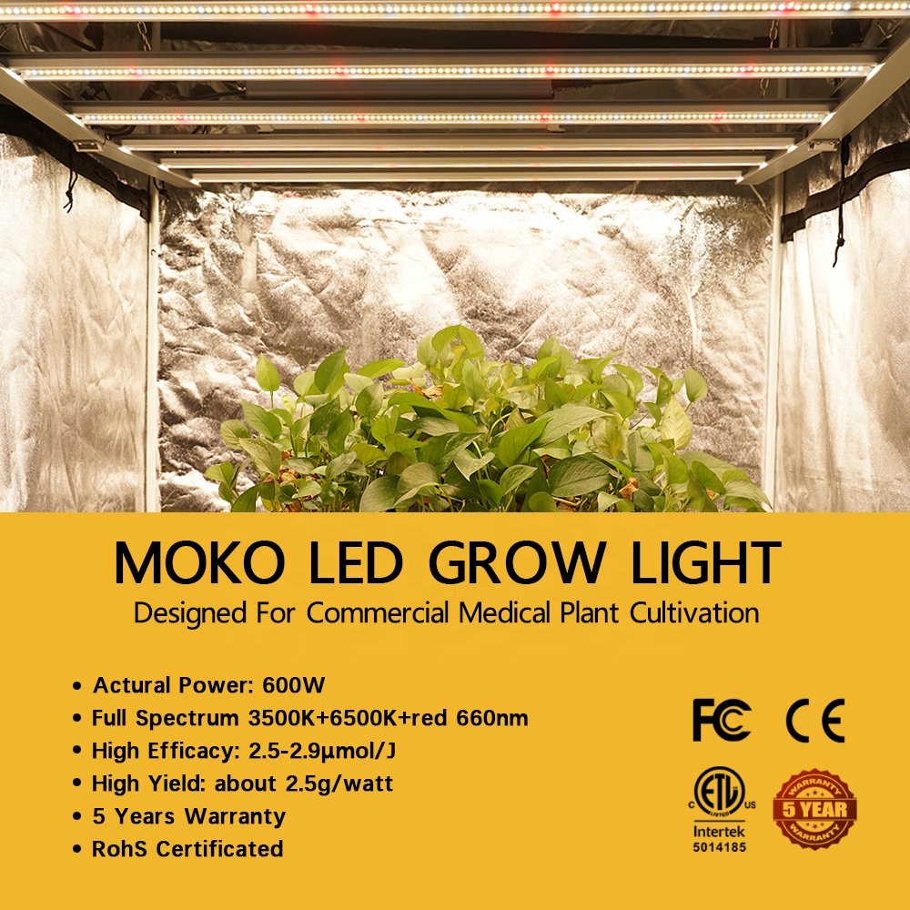In Stock 720W Led Grow Light 6 Bar Smart Rj Controller 281B Light Source 6FT Full Spectrum Grow Light
