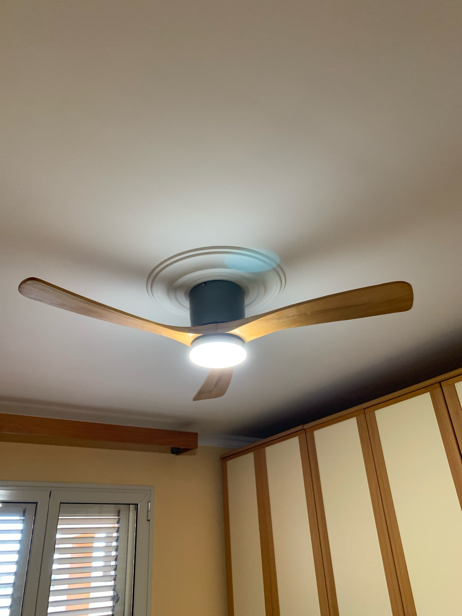 Low Floor Ceiling Fan Light Modern Black Wood Blade DC Remote Control Led Fan Lights Restaurant the Bedroom 110V 220V