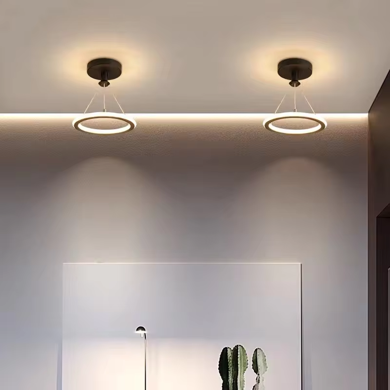 Modern 13W LED Wrought Iron Ceiling Lamp Simple Indoor Lighting Pendant for Living Room Aisle Corridor for Hotels